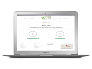 webcelltec